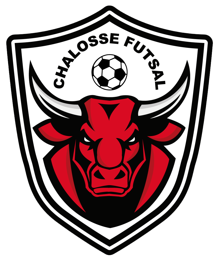 Logo Chalosse Futsal Hinx